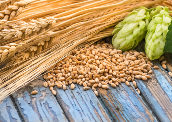 Пивоварение